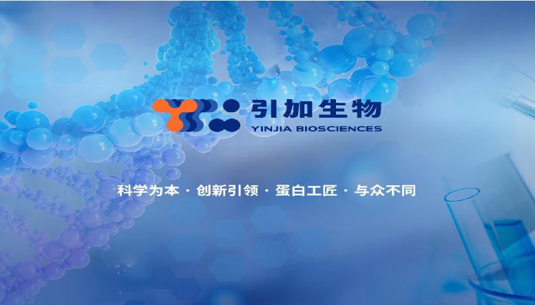 重组胰卵白酶&Glu-C卵白酶套装