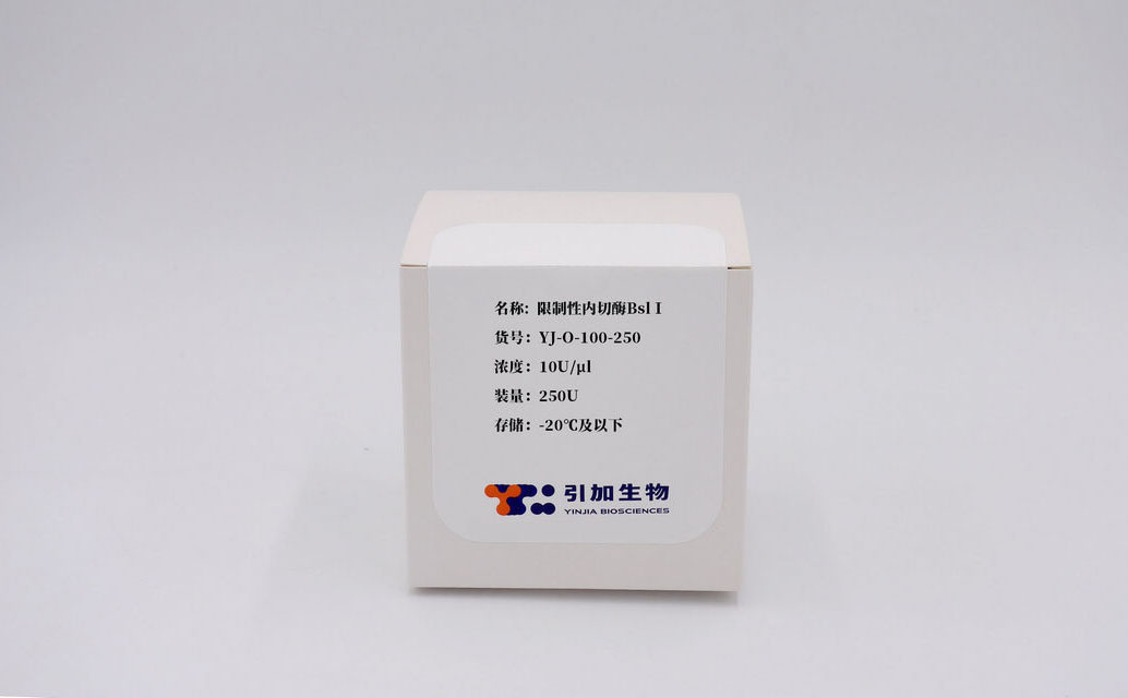 限制性内切酶BsLI