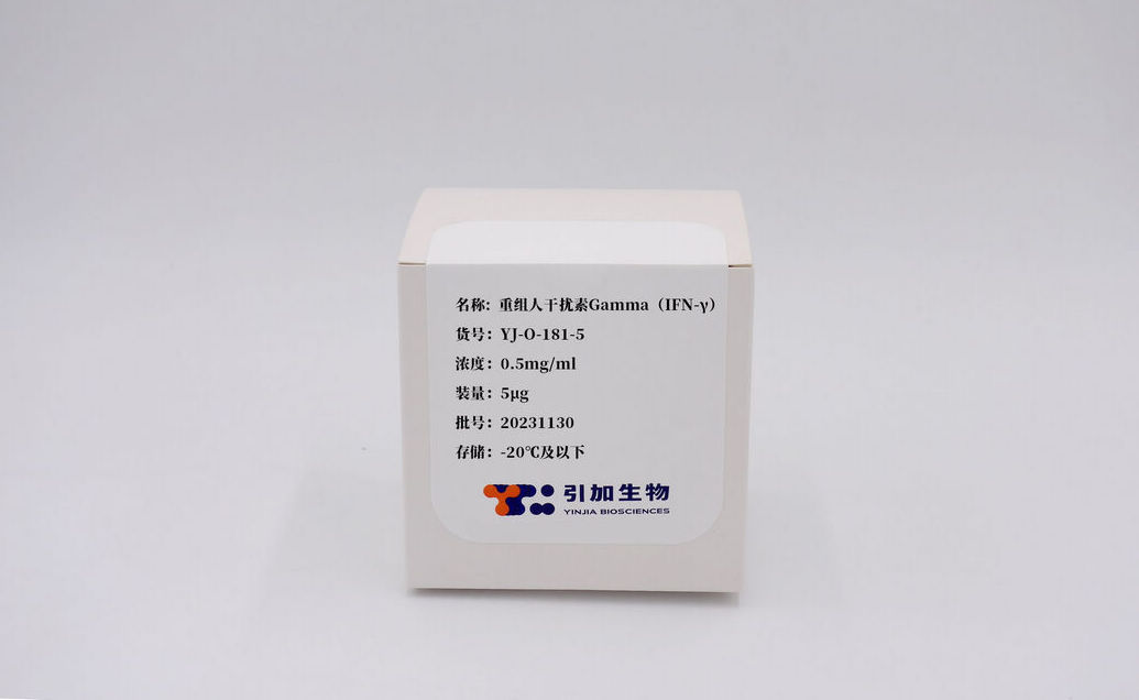 重组人滋扰素Gamma（IFN-γ）
