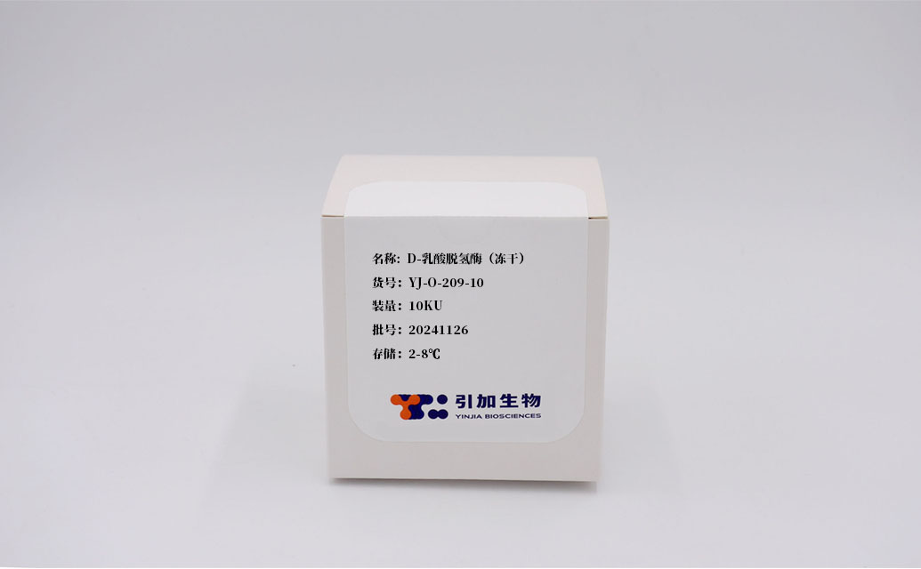 D-乳酸脱氢酶（冻干）