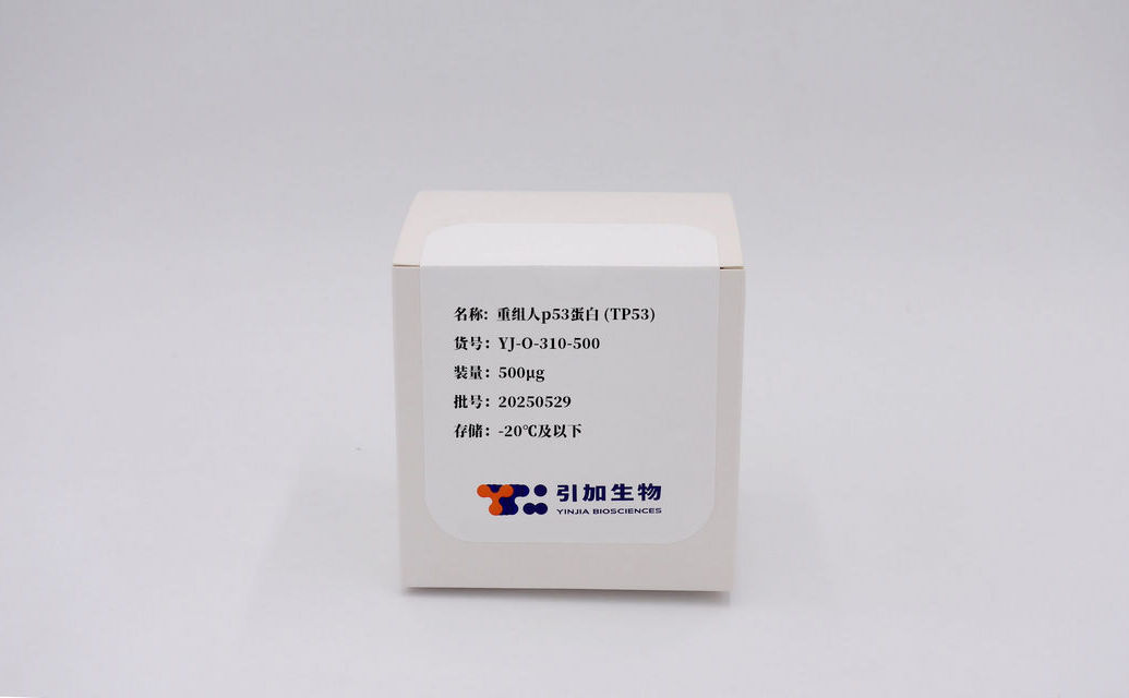 重组人p53卵白 (TP53)
