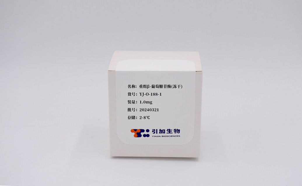 重组β-葡萄糖苷酶(冻干)