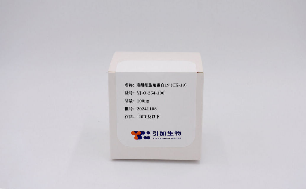 重组细胞角卵白19 (CK-19)