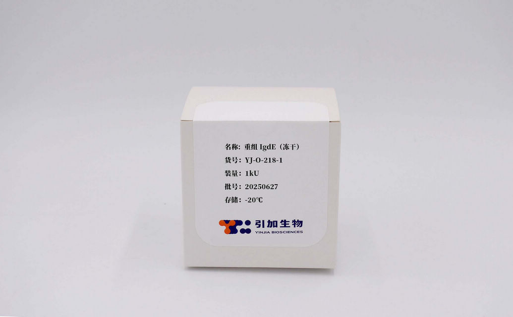 重组 IgdE（冻干）
